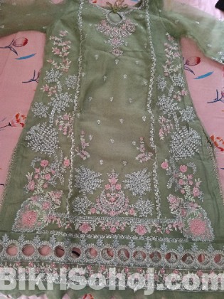 Pakistani organza dress
